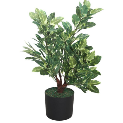 Garden Gyani Artificial Ficus Plant 60cm with Pot – Decorative Indoor Green Plant