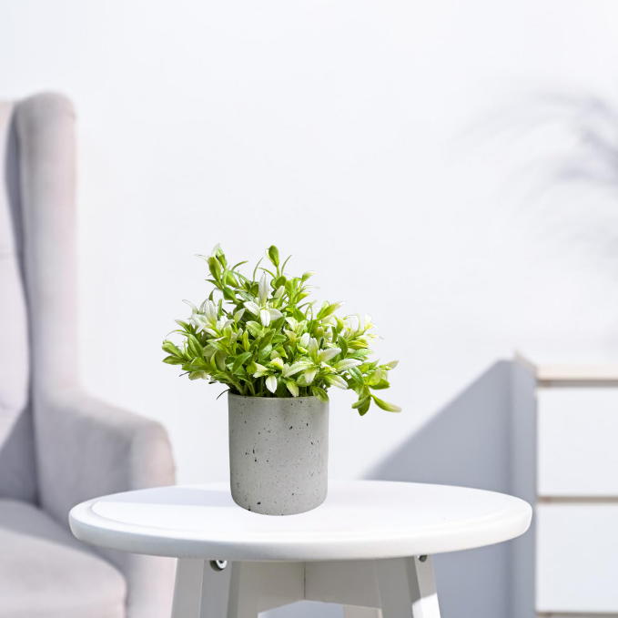 Garden Gyani Artificial Rubber Plant – Small Faux Potted Plant for Tabletop, Home, Bathroom & Office Décor | Indoor Decorative Greenery