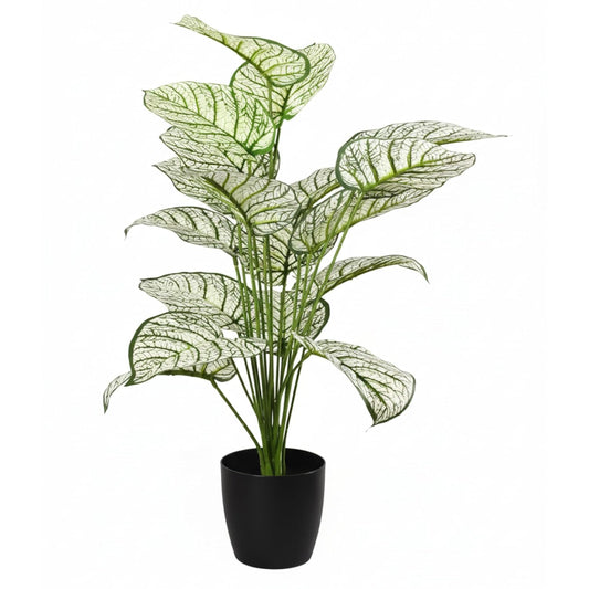 Garden Gyani Artificial Dieffenbachia Plant with Pot | 65 cm Faux Indoor Plant | White Variegated Leaves | Home & Office Décor