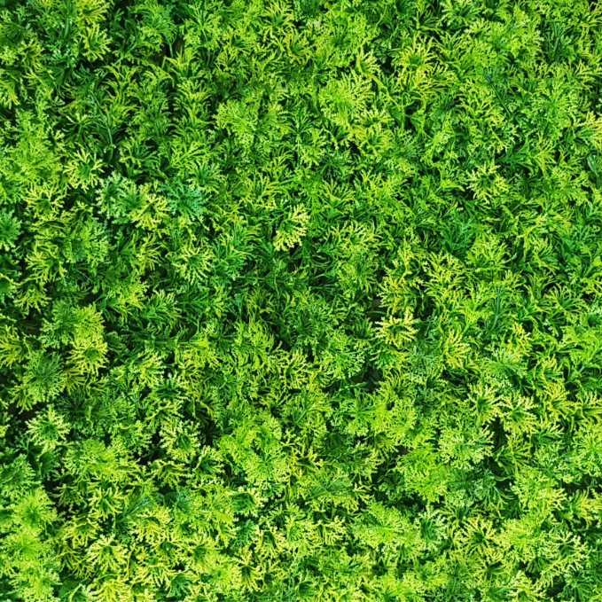 Garden Gyani 50x50 cm Artificial Greenery Wall Panel – Lush Faux Vertical Garden Mat for Wall, Balcony & Home Décor