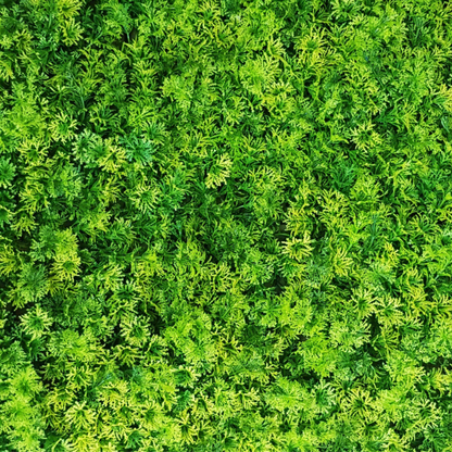 Garden Gyani 50x50 cm Artificial Greenery Wall Panel – Lush Faux Vertical Garden Mat for Wall, Balcony & Home Décor