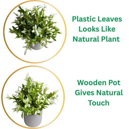 Garden Gyani Artificial Rubber Plant – Small Faux Potted Plant for Tabletop, Home, Bathroom & Office Décor | Indoor Decorative Greenery