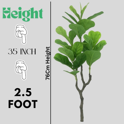 Garden Gyani Artificial Fiddle Leaf Fig Tree – 76 cm Tall Faux Indoor & Outdoor Green Plant with Black Pot | Decorative Plant for Home, Office & Garden Décor
