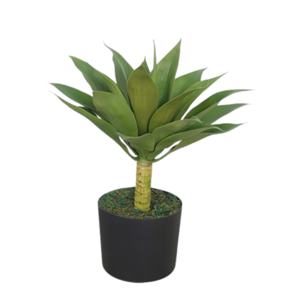 Garden Gyani Agave – 50 cm Tall Artificial Plant | Lifelike Faux Succulent Without Pot for Home & Office Décor