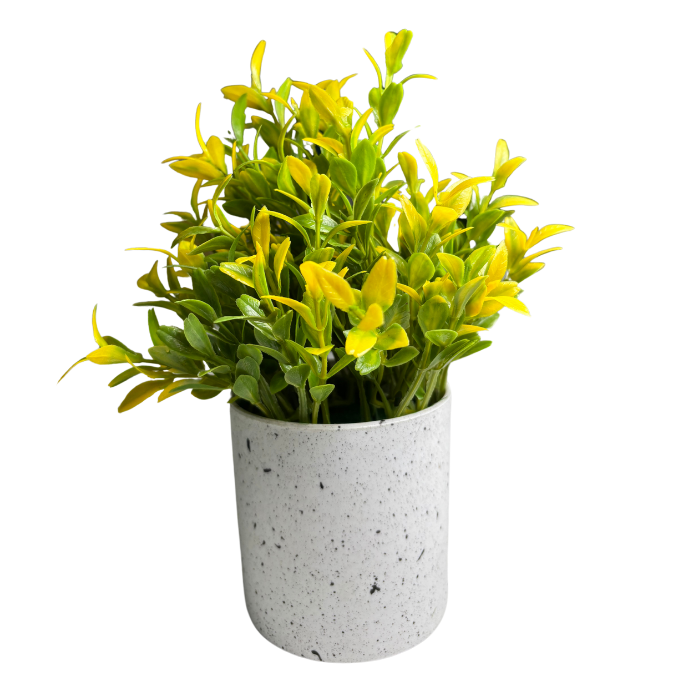 Garden Gyani Artificial Rubber Plant – Small Faux Potted Plant for Tabletop, Home, Bathroom & Office Décor | Indoor Decorative Greenery