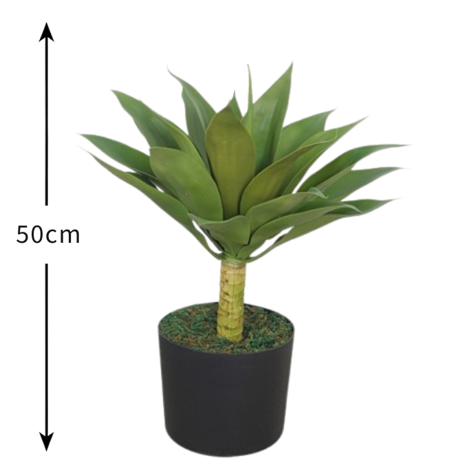 Garden Gyani Agave – 50 cm Tall Artificial Plant | Lifelike Faux Succulent Without Pot for Home & Office Décor