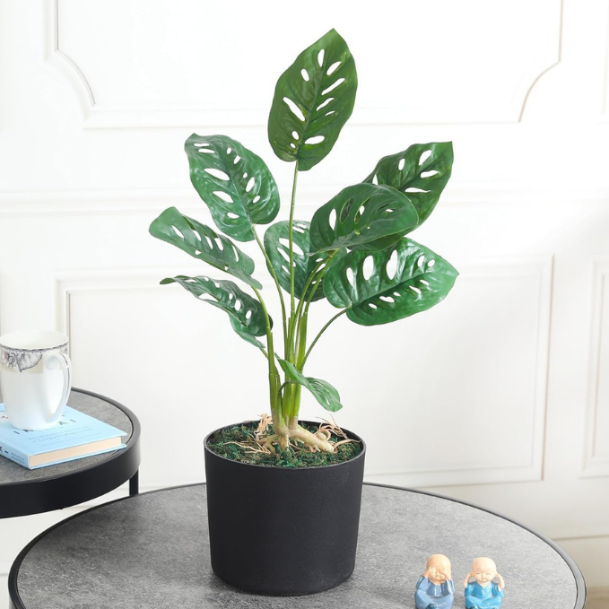 Garden Gyani Artificial Monstera Rubber Plant with Black Pot – 50 cm Tall Faux Indoor Greenery for Home Décor | Realistic Ornamental Plant