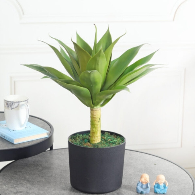 Garden Gyani Agave – 50 cm Tall Artificial Plant | Lifelike Faux Succulent Without Pot for Home & Office Décor