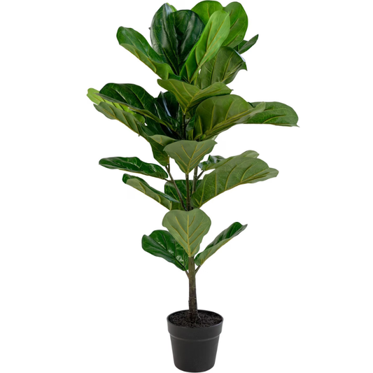 Garden Gyani Fiddle X1 – 85 cm Tall Artificial Plant | Lifelike Faux Indoor & Outdoor Décor Without Pot