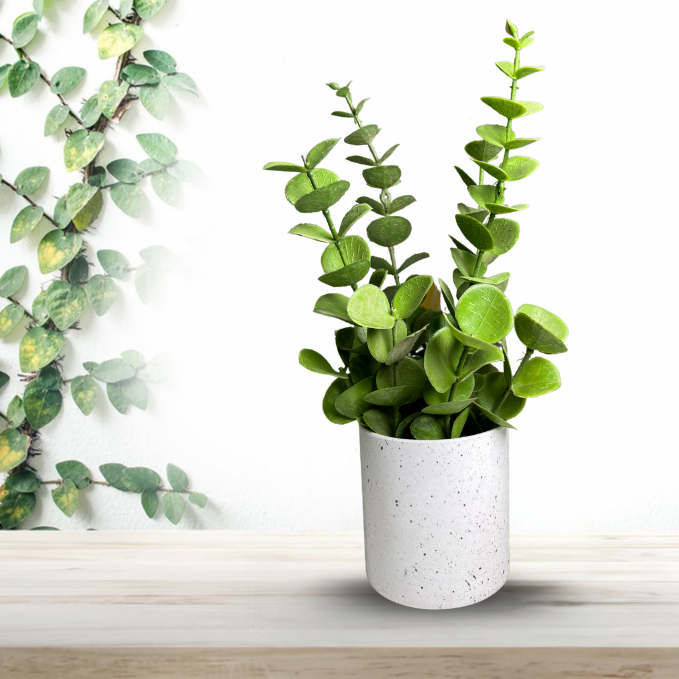 Garden Gyani Artificial Rubber Plant – Small Faux Potted Plant for Tabletop, Home, Bathroom & Office Décor | Indoor Decorative Greenery