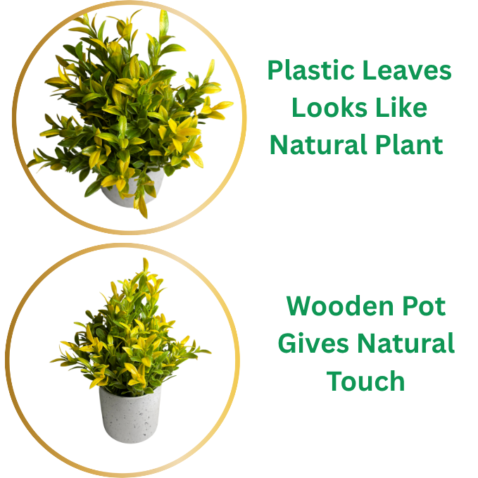 Garden Gyani Artificial Rubber Plant – Small Faux Potted Plant for Tabletop, Home, Bathroom & Office Décor | Indoor Decorative Greenery