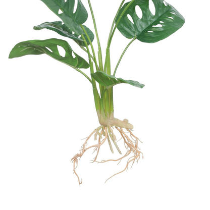 Garden Gyani Artificial Monstera Rubber Plant with Black Pot – 50 cm Tall Faux Indoor Greenery for Home Décor | Realistic Ornamental Plant