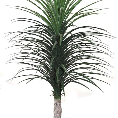 Garden Gyani Artificial Nolina Floor Plant – 150 cm Tall | Realistic Faux Indoor Ornamental Plant | Durable & Maintenance-Free Home & Office Decor | Pot Not Included