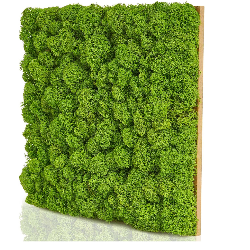 Garden Gyani Artificial Moss Wall Panel 50×50 cm | 3D Cushion Moss Style Green Wall | UV Protected Indoor Outdoor Decor