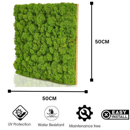 Garden Gyani Artificial Moss Wall Panel 50×50 cm | 3D Cushion Moss Style Green Wall | UV Protected Indoor Outdoor Decor