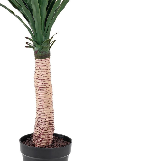 Garden Gyani Artificial Nolina Floor Plant – 150 cm Tall | Realistic Faux Indoor Ornamental Plant | Durable & Maintenance-Free Home & Office Decor | Pot Not Included