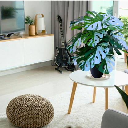 Garden Gyani Artificial Money Plant – 78 cm Tall Faux Green Plant with Pot | Lifelike Palm Leaves Monstera for Home, Office & Indoor Decoration
