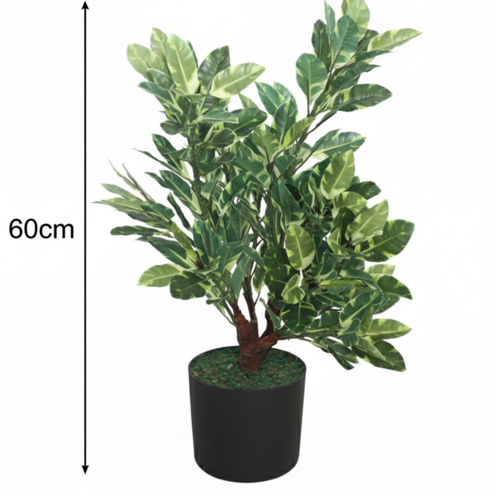 Garden Gyani Artificial Ficus Plant 60cm with Pot – Decorative Indoor Green Plant
