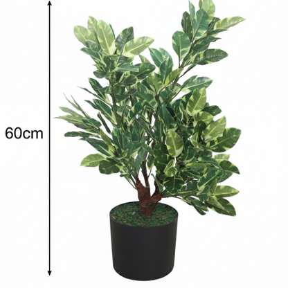 Garden Gyani Artificial Ficus Plant 60cm with Pot – Decorative Indoor Green Plant