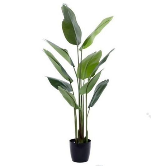 Garden Gyani 150cm Artificial Traveller Palm Tree – Tall Faux Indoor Plant Without Pot for Home & Office Décor