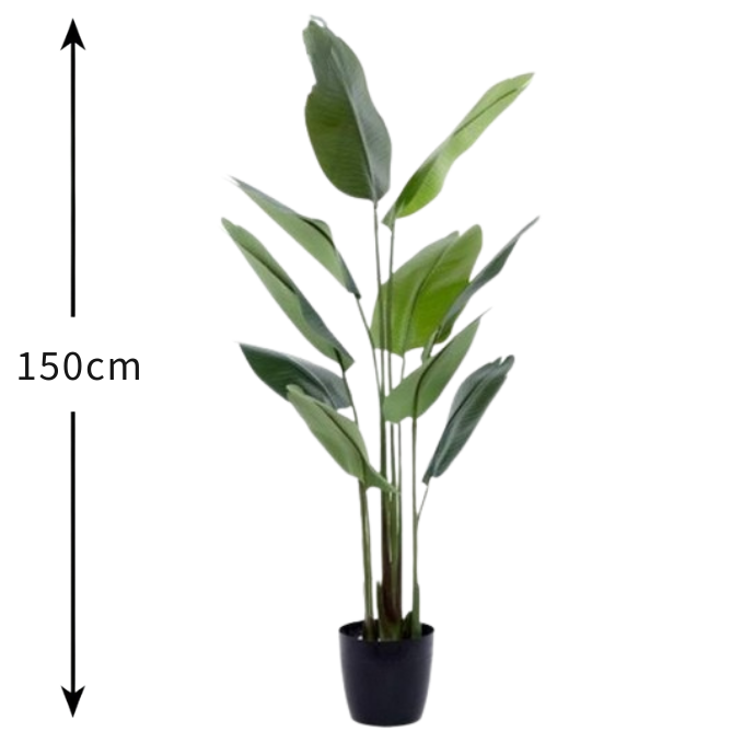 Garden Gyani 150cm Artificial Traveller Palm Tree – Tall Faux Indoor Plant Without Pot for Home & Office Décor