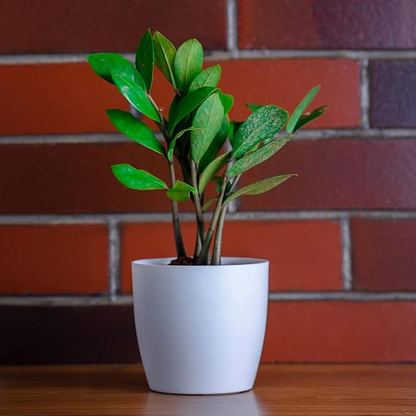 Garden Gyani Flower Pots - 4.4 Inch Plastic Flower Pots | Modern Decorative Indoor Outdoor Planters/Pots - Plant Not Included - Pack of 3