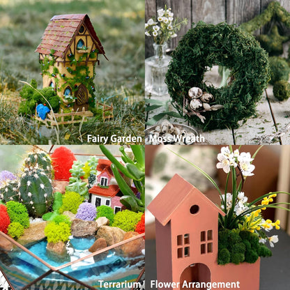 Garden Gyani Preserved Reindeer Moss – Yellow | Natural Craft Moss for DIY, Floral Decor, Terrariums & Wall Art