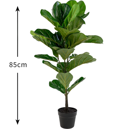 Garden Gyani Fiddle X1 – 85 cm Tall Artificial Plant | Lifelike Faux Indoor & Outdoor Décor Without Pot