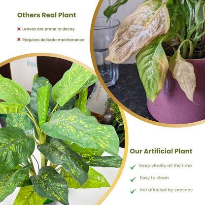 Garden Gyani Artificial Dieffenbachia Plant with Pot – 80cm Tall Faux Indoor Plant with Broad Green & Cream Leaves | 4 Stems | Realistic Decorative Plant for Home & Office